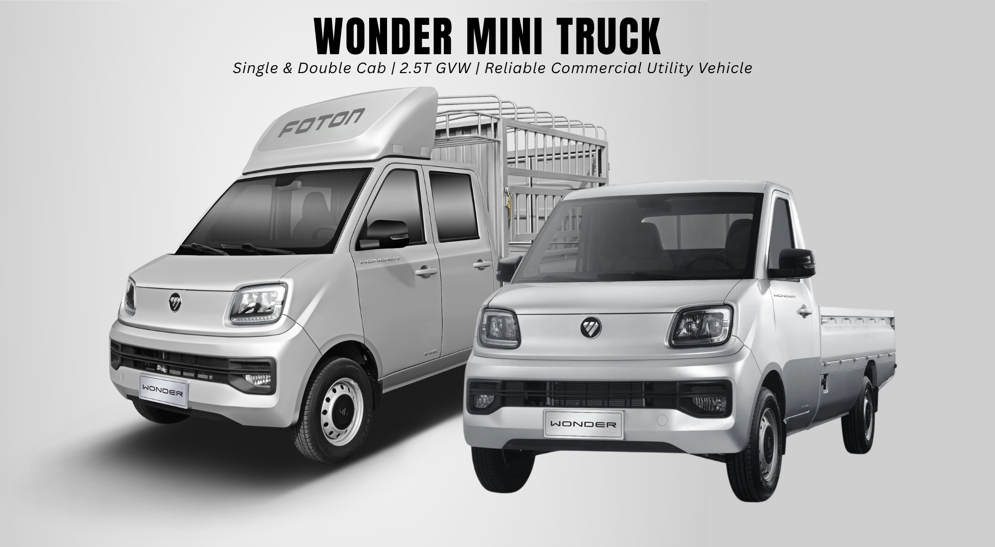 Foton Wonder Mini Truck