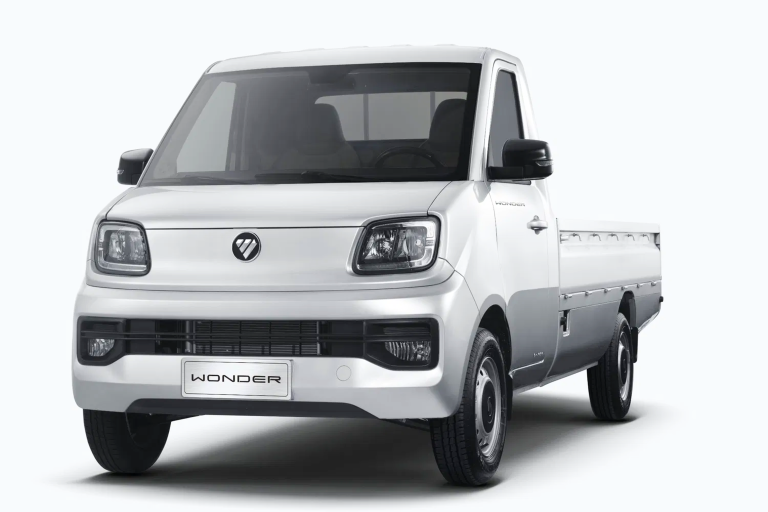 Wonder Mini Truck