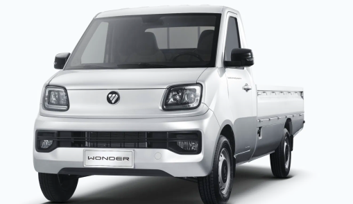 Wonder Mini Truck